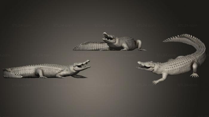 Статуэтки животных (Крокодил, STKJ_1692) 3D модель для ЧПУ станка